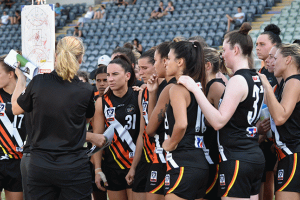 NT Thunder Academy article